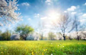 Background image of 2026 Thank Offering