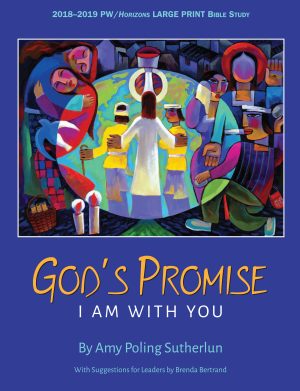 HZN18150 God's Promise Large Print