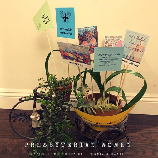bicycle planter with cards showing PW programs