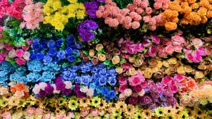 Build a Bouquet featured image